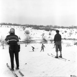 Vinter i Botanisk Have.jpg