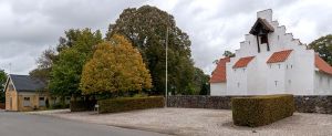 DSC 6667-Hvilsted.jpg