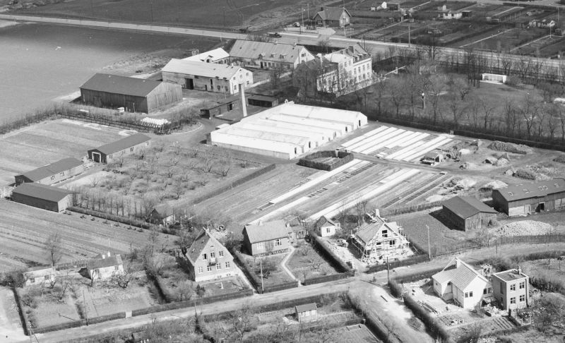 Fil:Sylvest nks 04092 Aarhus Kommunes Gartneri ca 1950.jpg