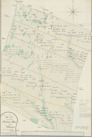 MllevangendelafrhusMarkjorder 1801.jpg