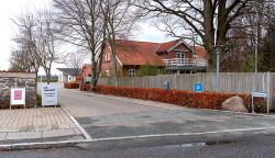 DSC 8085--Kolt.jpg