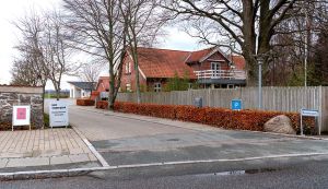 DSC 8085--Kolt.jpg