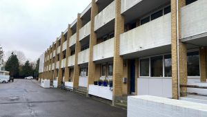 IMG 6530.jpeg