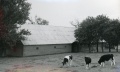 Miniature af versionen fra 29. nov. 2018, 11:58