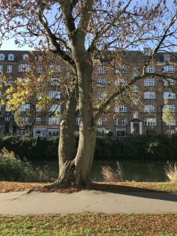 Ask Museumsgade.jpg