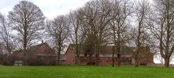 DSC 7946--Pedholt.jpg