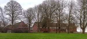 DSC 7946--Pedholt.jpg