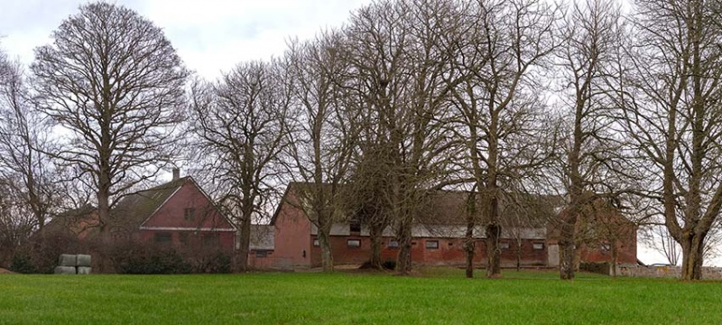 Fil:DSC 7946--Pedholt.jpg