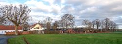 DSC 8056--Boegeskov.jpg
