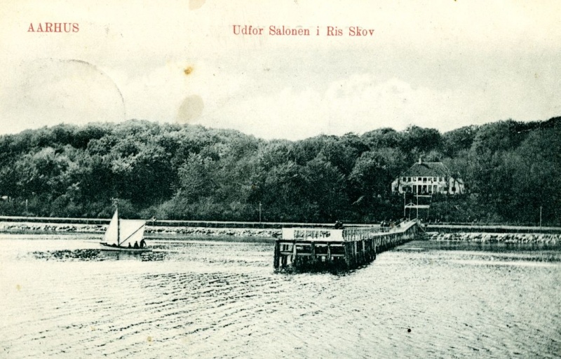 Fil:Salonen ca. 1905.jpg