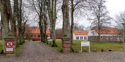 DSC 8415--Todbjerg.jpg