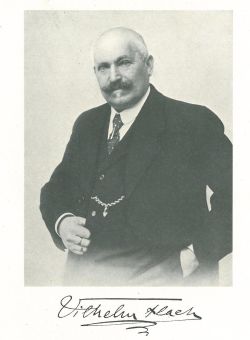 Wilhelm f.jpg