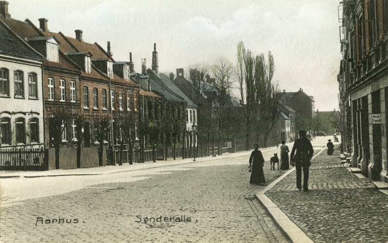 Fil:Sønder Alle, 1905, ukendt fotograf .jpg