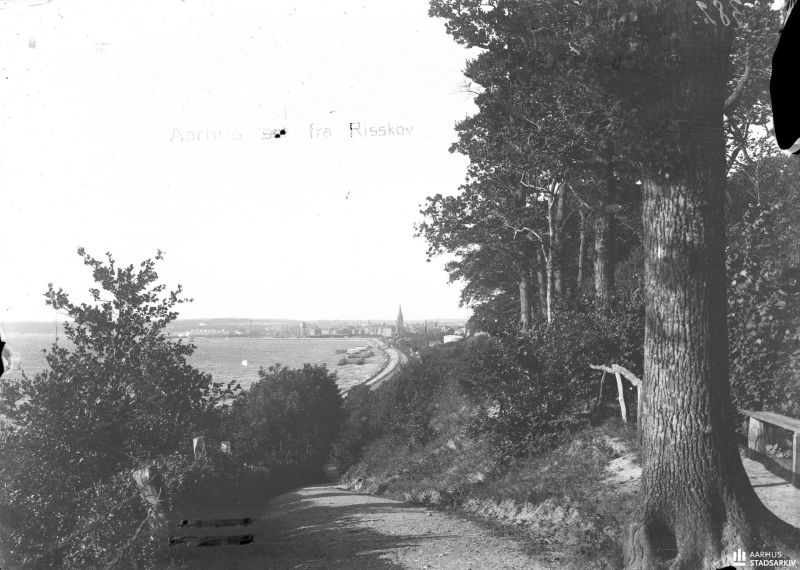 Fil:Aarhus Set fra Riis Skov 000186594 l.jpg