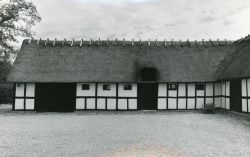 Hørret.jpg