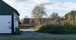 DSC 7383--Haarup.jpg