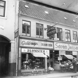 Vg31-gl.jpg