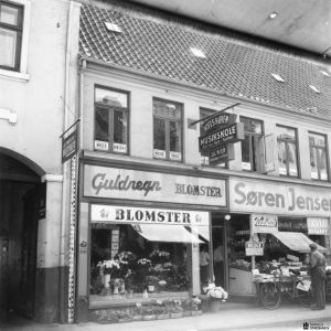 Vg31-gl.jpg