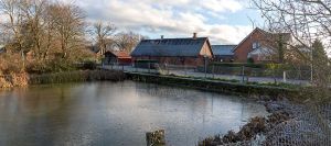 DSC 8050--Onsted.jpg