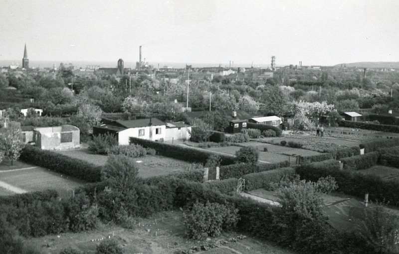 Fil:Kolonihaver, 1954, Thomas Pedersen.jpg