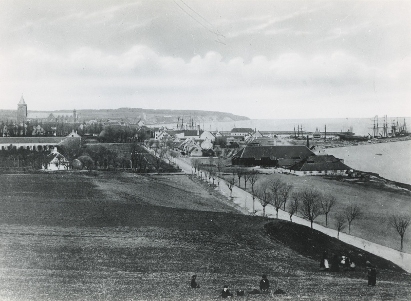 Fil:Aarhus ca 1865.jpg