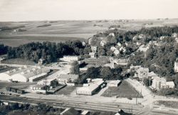 Dalsøgas.jpg