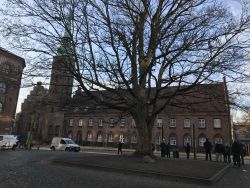 Spidsløn Klostertorv x.jpg
