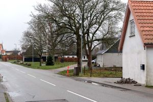 DSC 8417--Todbjerg.jpg