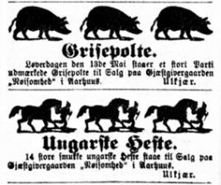 Vg41.ann2.jpg