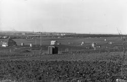 000206194 l.jpg
