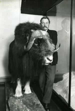 Findal, Naturhistorisk Museum, Foto Fredslund Andersen.jpg