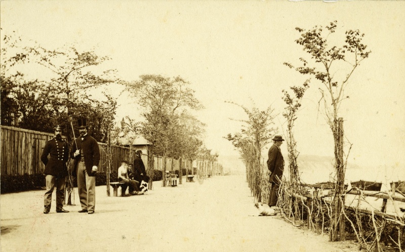 Fil:Skolebakken 1867, Andreas Fritz.jpg