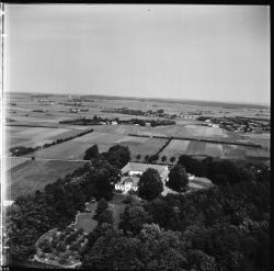 H00787 001.jpg