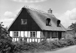 Hørslevbol b.jpg