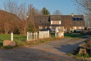 DSC 8363--Geding.jpg