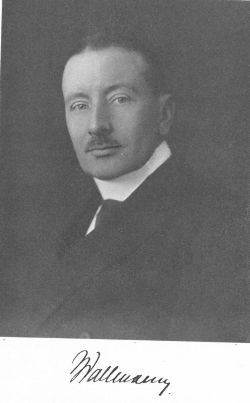Martin johannes wallmann.jpg