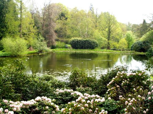 Forstbotanisk have -2005 KL.jpg