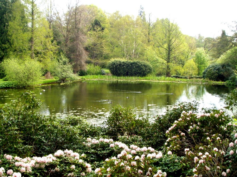 Fil:Forstbotanisk have -2005 KL.jpg