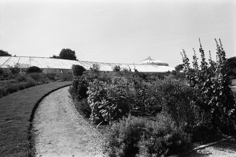 Fil:Væksthusene 1984, Jørn Timm.jpg