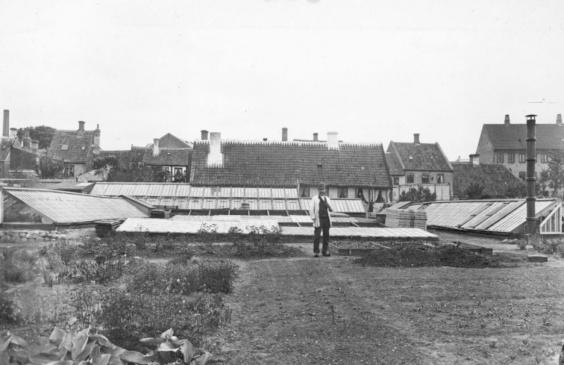 Fil:Handelsgartner M. Nielsen, Østre Møllesti 37.jpg