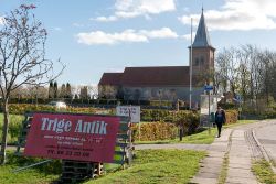 DSC 7368--Trige.jpg