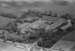 L01896 027.jpg
