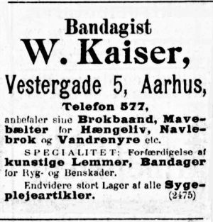 Vg5 JP1910 08 11 s8-3-kaiser.jpg