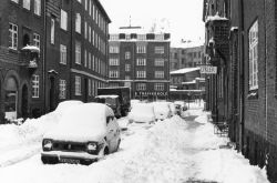 Blegdammen Poul Pedersen 1979.jpg