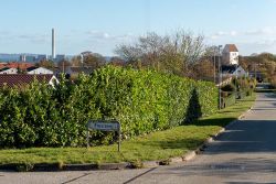 DSC 7389--Skoedstrup.jpg
