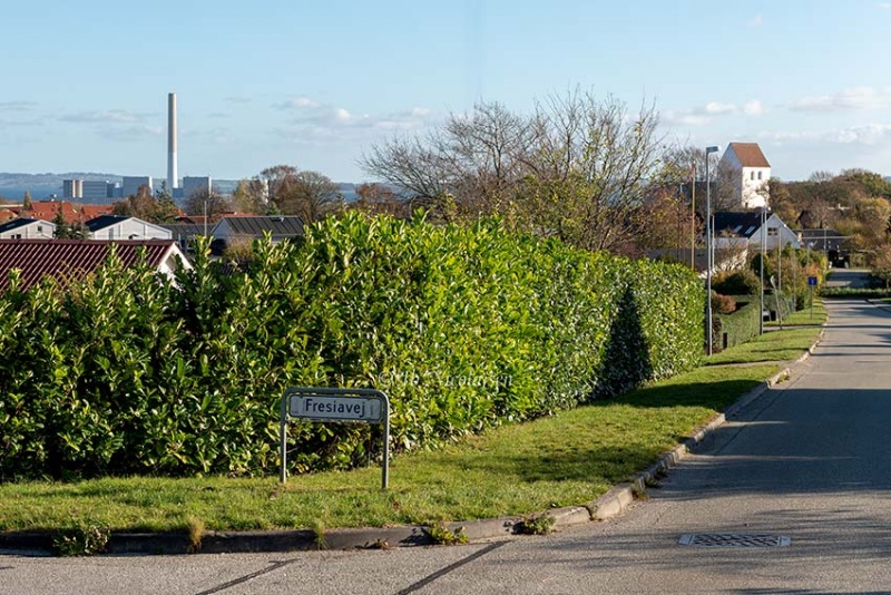 Fil:DSC 7389--Skoedstrup.jpg