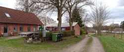 DSC 7937--Pedholt.jpg