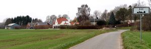DSC 7985--Ask.jpg