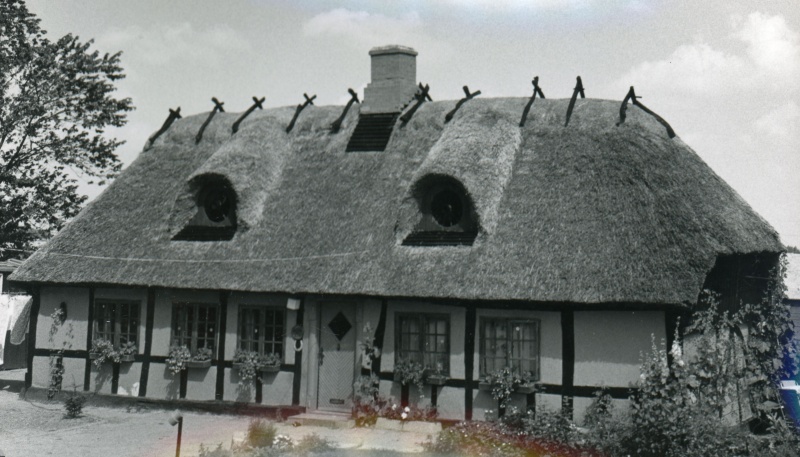 Fil:Hvilsted 555.tif.jpg