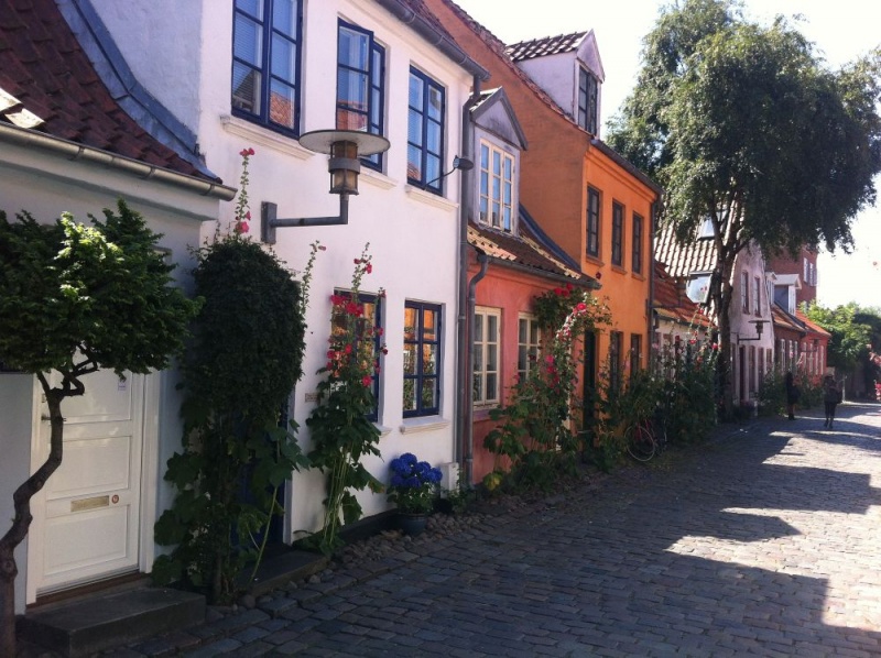 Fil:Møllestien 2014.jpg